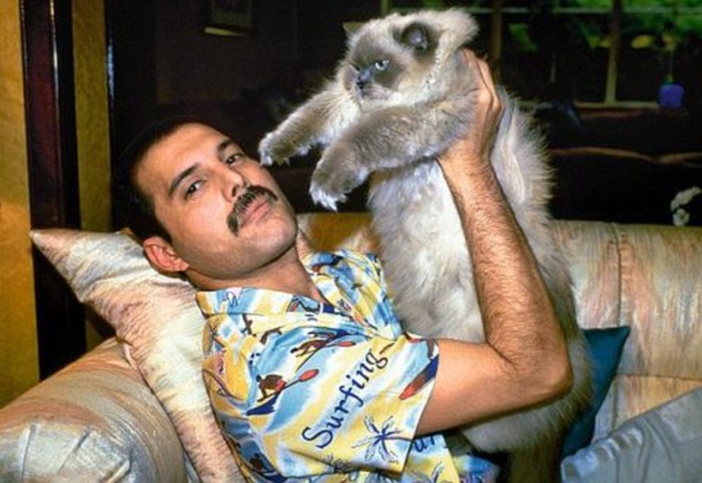 Freddie Mercury