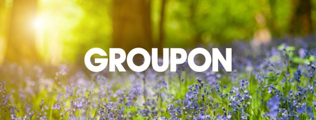 Groupon: come funziona e sconti del servizio